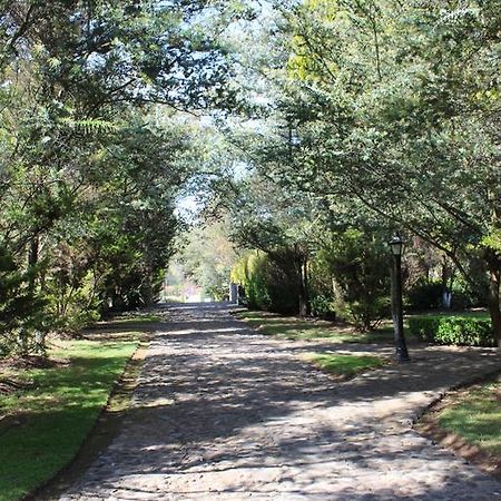 Rancho San Antonio Huasca de Ocampo Ngoại thất bức ảnh