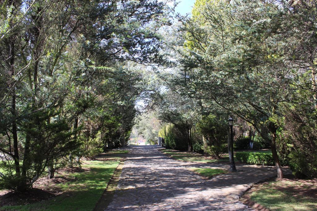 Rancho San Antonio Huasca de Ocampo Ngoại thất bức ảnh