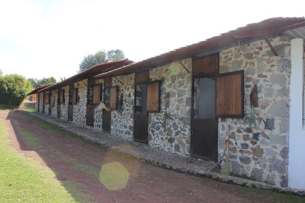 Rancho San Antonio Huasca de Ocampo Ngoại thất bức ảnh