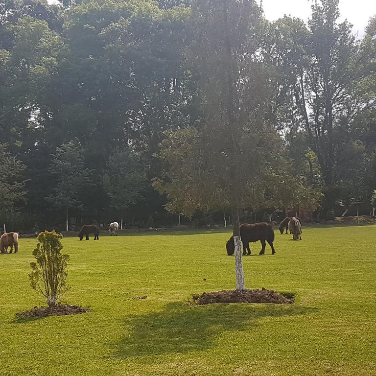 Rancho San Antonio Huasca de Ocampo Ngoại thất bức ảnh
