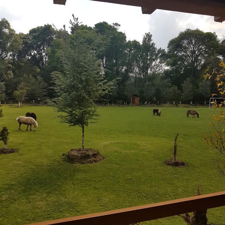 Rancho San Antonio Huasca de Ocampo Ngoại thất bức ảnh
