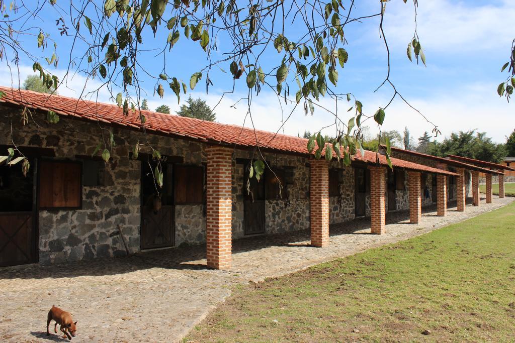 Rancho San Antonio Huasca de Ocampo Ngoại thất bức ảnh
