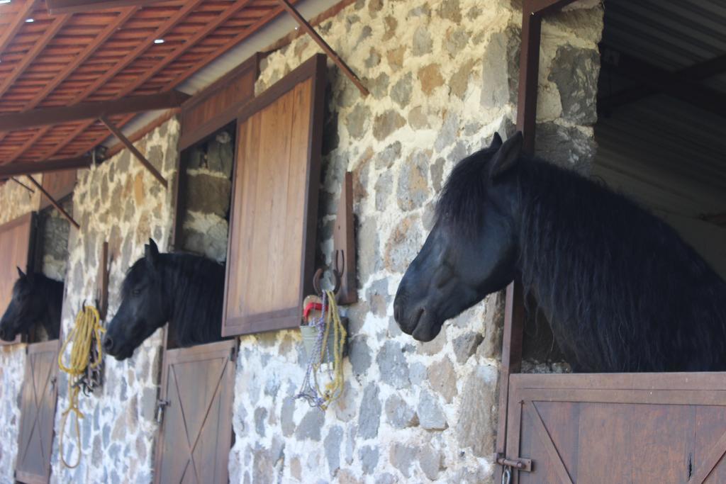 Rancho San Antonio Huasca de Ocampo Ngoại thất bức ảnh