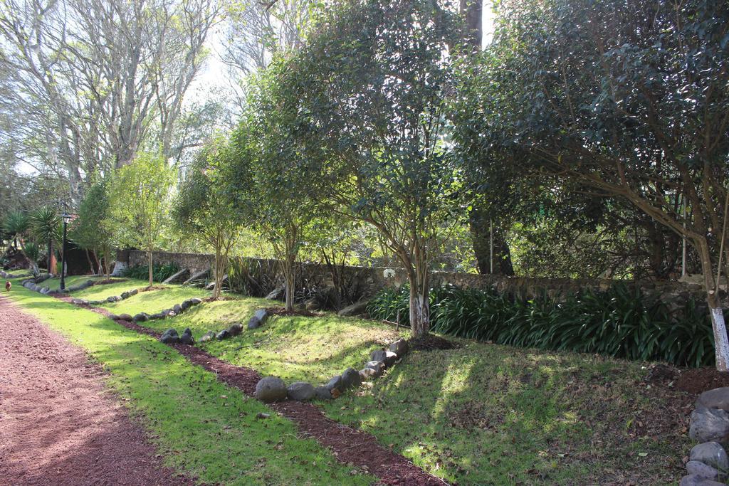 Rancho San Antonio Huasca de Ocampo Ngoại thất bức ảnh