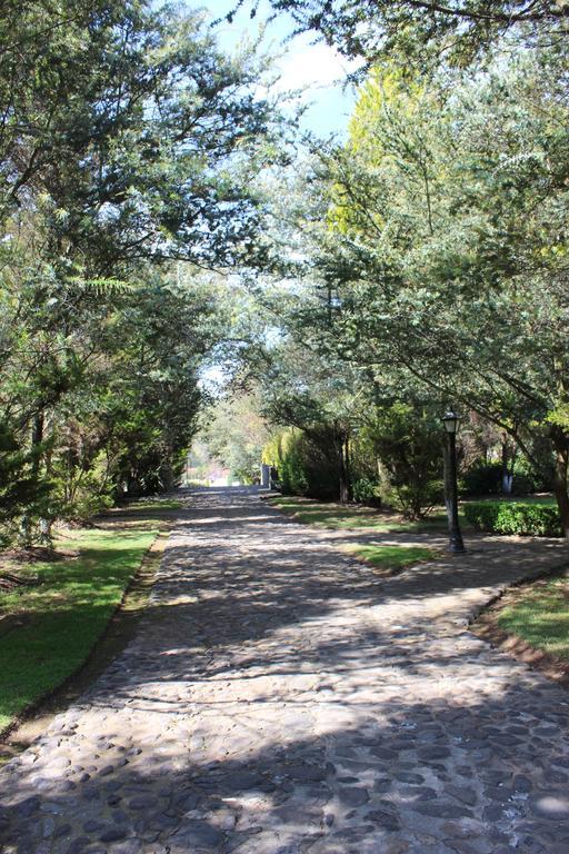 Rancho San Antonio Huasca de Ocampo Ngoại thất bức ảnh