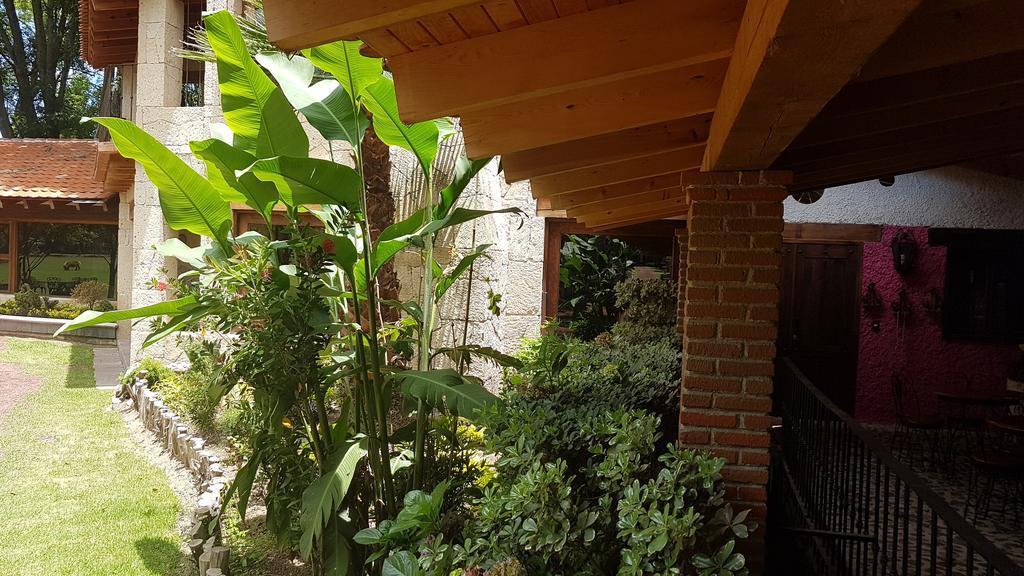 Rancho San Antonio Huasca de Ocampo Ngoại thất bức ảnh